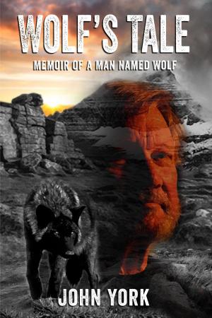 Cover of the book Wolf's Tale: Memoir of a Man Named Wolf by Steven Barnes