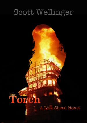 Book cover of The Torch