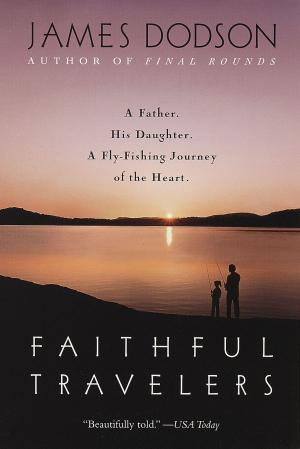 Cover of the book Faithful Travelers by Chris Davidson