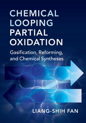 Cover of the book Chemical Looping Partial Oxidation by Professor Alexander Regier