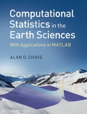 Cover of the book Computational Statistics in the Earth Sciences by Rachel Walker