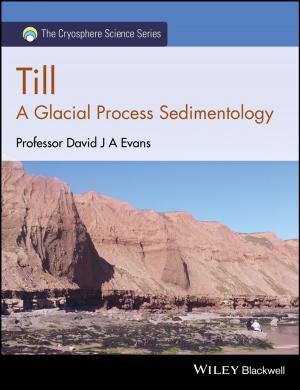 Cover of the book Till by Sarah L. Stringer, Juliet Hurn, Anna M. Burnside