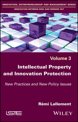 Cover of the book Intellectual Property and Innovation Protection by Richard Boddy, Gordon Smith