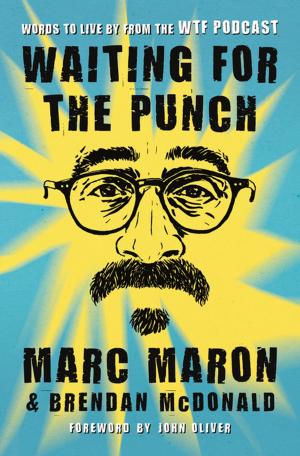 Cover of the book Waiting for the Punch by Travis Sawchik