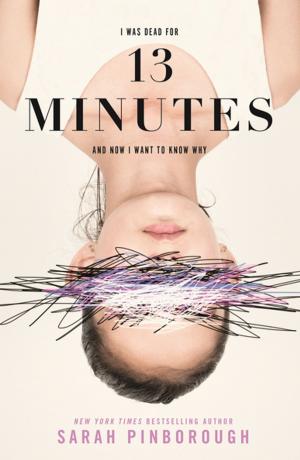Cover of the book 13 Minutes by Jeffrey Yoskowitz, Liz Alpern