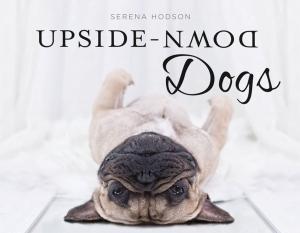Book cover of Upside-Down Dogs
