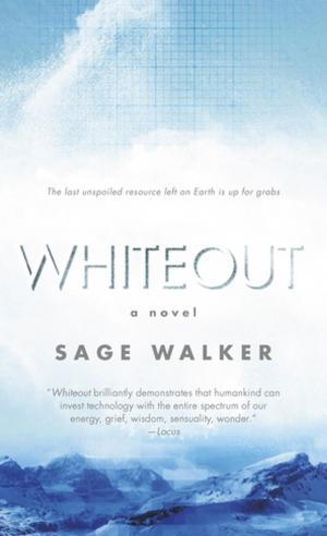 Cover of the book Whiteout by Ken MacLeod