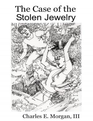 Book cover of The Case of the Stolen Jewelry