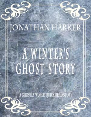 Book cover of A Winter's Ghost Story: A Ghostly World Quick Read Story
