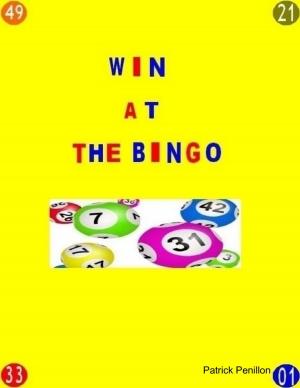 Cover of the book Win at the Bingo by R.S Mallari