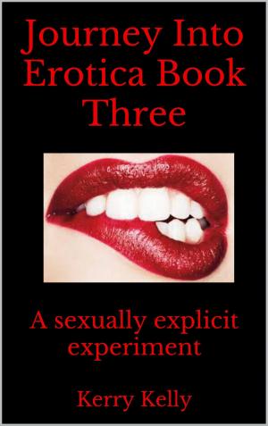 Cover of the book Journey Into Erotica: Book Three by AJ Spencer