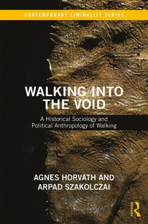 Cover of the book Walking into the Void by Christine Sylvester