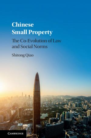 Cover of the book Chinese Small Property by Alberto Diaz-Cayeros, Federico Estévez, Beatriz Magaloni