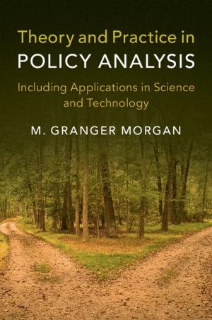 Book cover of Theory and Practice in Policy Analysis