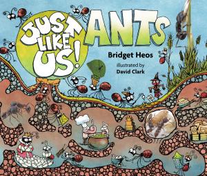 Cover of the book Just Like Us! Ants by Carli Lloyd, Wayne Coffey