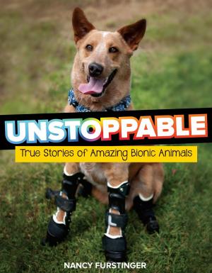 Cover of the book Unstoppable by Joyce Sidman
