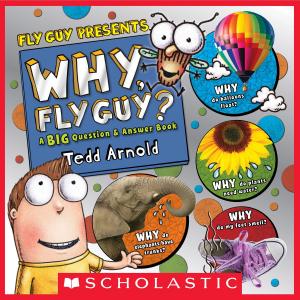 Cover of the book Why, Fly Guy?: Answers to Kids' BIG Questions (Fly Guy Presents) by Tedd Arnold