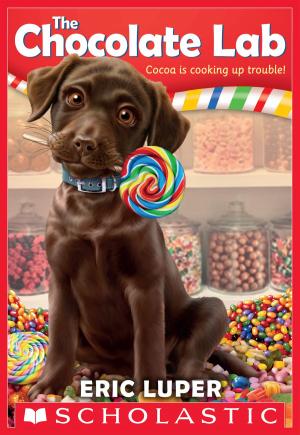 Cover of the book The Chocolate Lab (The Chocolate Lab #1) by Peter Lerangis