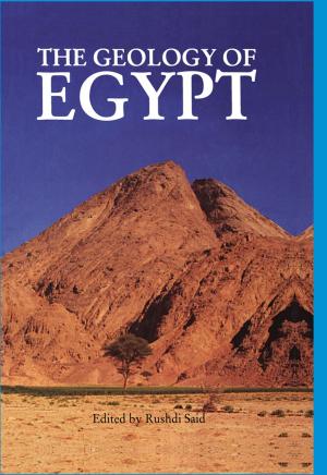 Cover of the book The Geology of Egypt by 