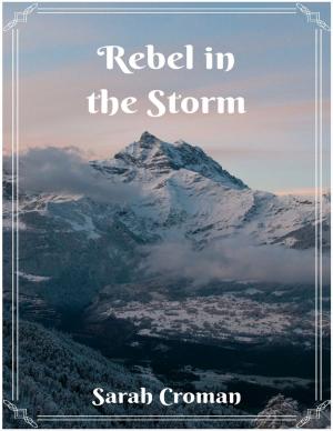 Cover of the book Rebel In the Storm by Shaun Mackey