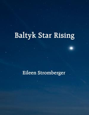 Cover of the book Baltyk Star Rising by Kimberly Vogel
