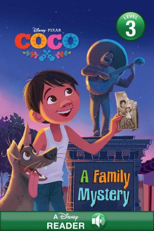 Cover of the book Coco: A Family Mystery by Molly Booth