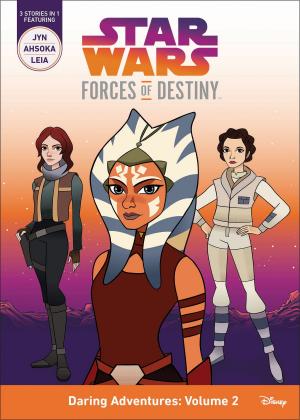 Cover of the book Girls: Leia Chapter Book by Liz Marsham