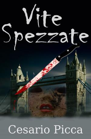 Book cover of Vite spezzate