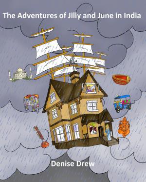 Cover of the book The Adventures of Jilly and June in India by Daniele Sultan