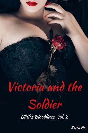 Book cover of Victoria and the Soldier