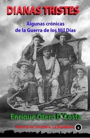 Cover of the book Dianas Tristes by Luis Alberto Villamarin Pulido