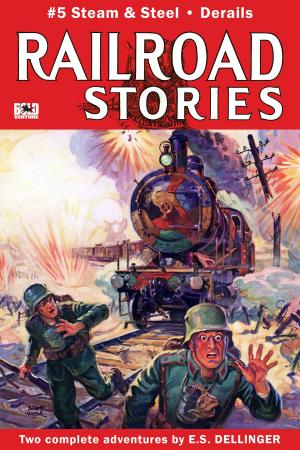 Cover of the book Steam and Steel by Bold Venture Press