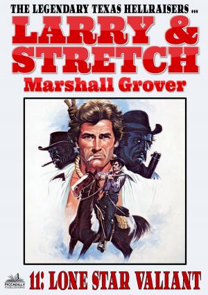 Cover of the book Larry and Stretch 11: Lone Star Valiant by Marshall Grover