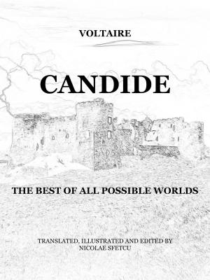 Book cover of Candide: The best of all possible worlds