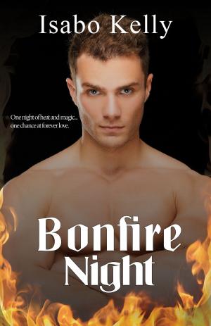 Book cover of Bonfire Night