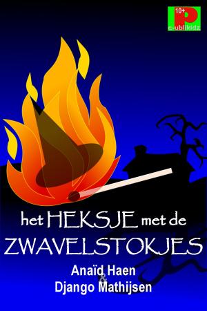 Cover of the book Het heksje met de zwavelstokjes by Django Mathijsen