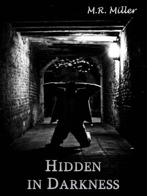 Book cover of Hidden in Darkness (An Emily O'Brien novel #7)