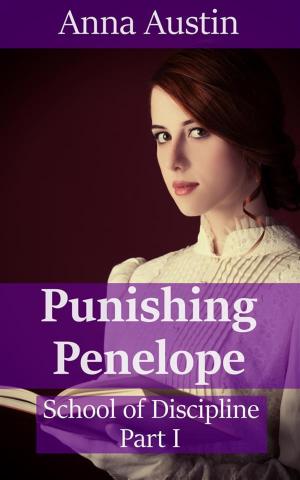 Cover of the book Punishing Penelope by Alana Church