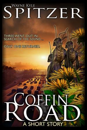 Book cover of Coffin Road