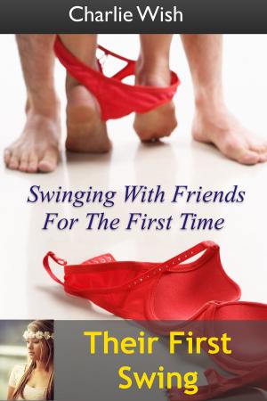 Book cover of Their First Swing