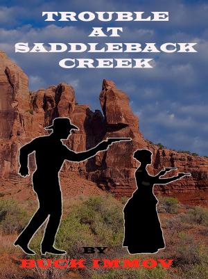Cover of Trouble at Saddleback Creek