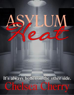 Cover of the book Asylum Heat by Riley de Lis