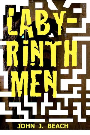 Cover of Labyrinth Men