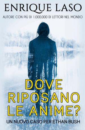 Book cover of Dove Riposano Le Anime?
