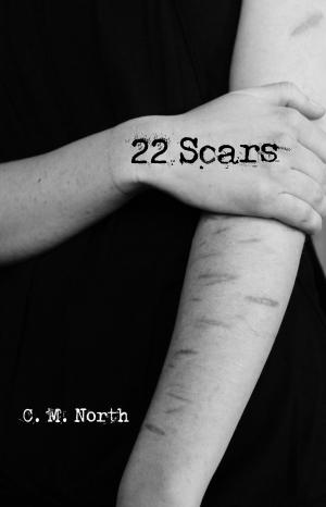 Cover of 22 Scars
