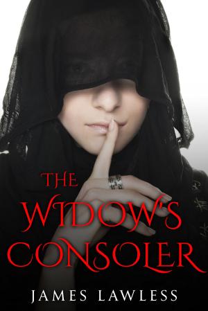Cover of the book The Widow's Consoler by James Lawless