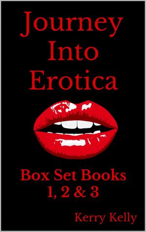 Cover of Journey Into Erotica: A Sexually Explicit Experiment - Three Book Box Set