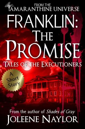 Book cover of Franklin: The Promise (Tales of the Executioners)