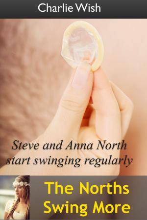 Cover of the book The Norths Swing More by Oliver Frances