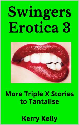 Book cover of Swingers Erotica 3: More Triple X Stories To Tantalise